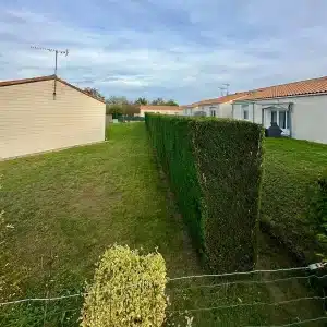 Accueil 9 - Le Joncour Espace Vert Taille de haie droite à Saint-Martin-des-Noyers. Vue en perspective d'une haute haie de conifères parfaitement taillée au carré par Le Joncour Espace Vert.