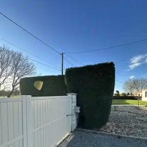 Accueil 4 - Le Joncour Espace Vert Vue latérale d'une haie de thuyas parfaitement rectiligne taillée par Le Joncour Espace Vert.