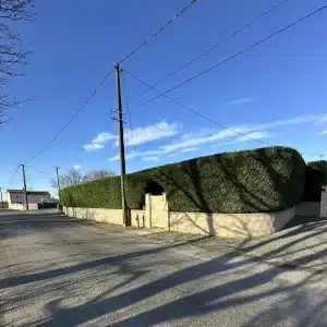 Accueil 10 - Le Joncour Espace Vert Haie de clôture majestueuse taillée avec une arche au-dessus du portillon par Le Joncour Espace Vert.